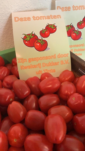 [1551716247]-tomaten.JPG